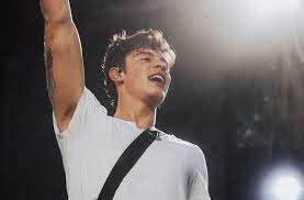 Shawn Mendes fortune natworth
